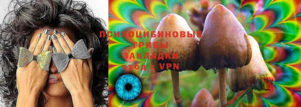 Альфа ПВП Волоколамск