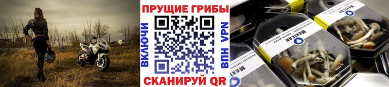 Галлюциногенные грибы Cubensis  Ивангород 